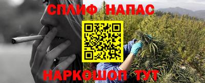 дмт Канаш