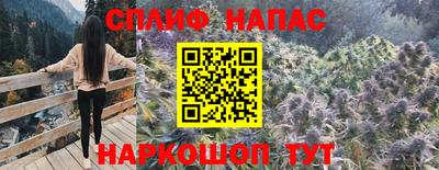 дмт Канаш