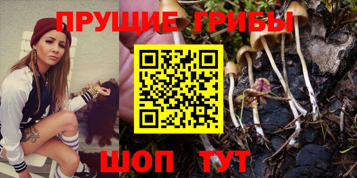 Кстово  Галлюциногенные грибы Psilocybine cubensis  Галлюциногенные грибы GOLDEN TEACHER  Вход с VPN 